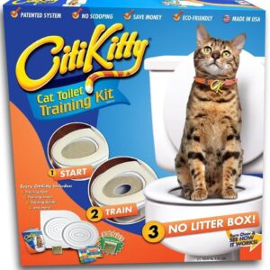 CitiKitty-1.jpg