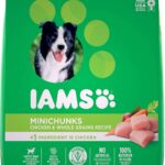 IAMS-1.jpg