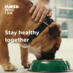 IAMS-3.jpg